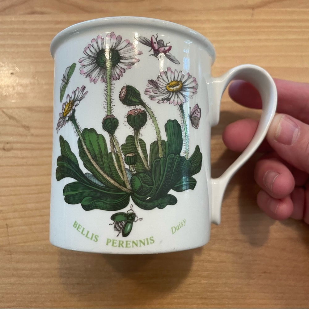 Portmeirion Botanical Mug with Daisy Design